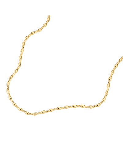 Damencollier